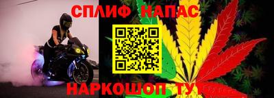спиды Донецк