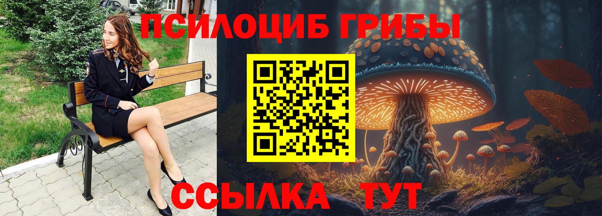 Галлюциногенные грибы прущие грибы Глазов
