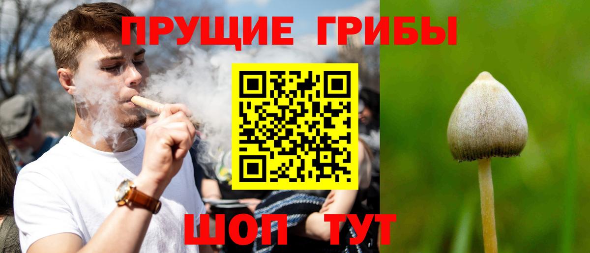 Глазов  Псилоцибиновые грибы ЛСД  Вход с VPN 